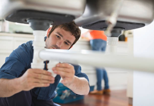 Best Commercial Plumbing Services  in Pea Ridge, WV