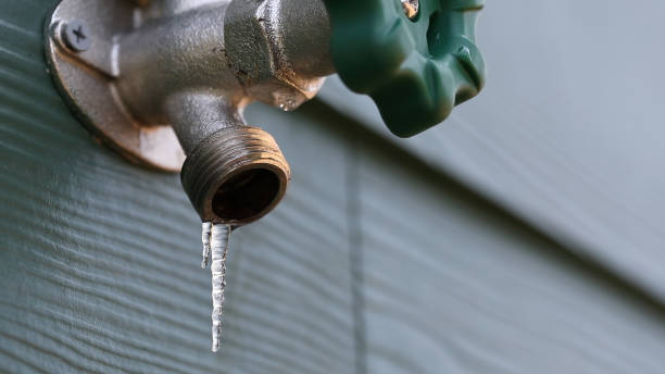 Best Sewer Line Repair  in Pea Ridge, WV